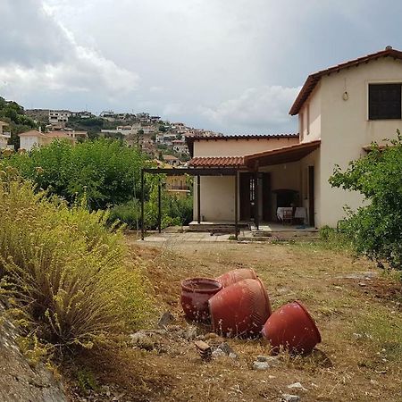 Ample Modern Country Home نيا إيبيدافروس المظهر الخارجي الصورة