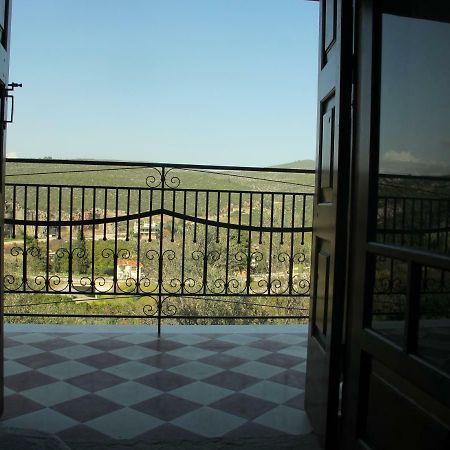 Ample Modern Country Home نيا إيبيدافروس المظهر الخارجي الصورة