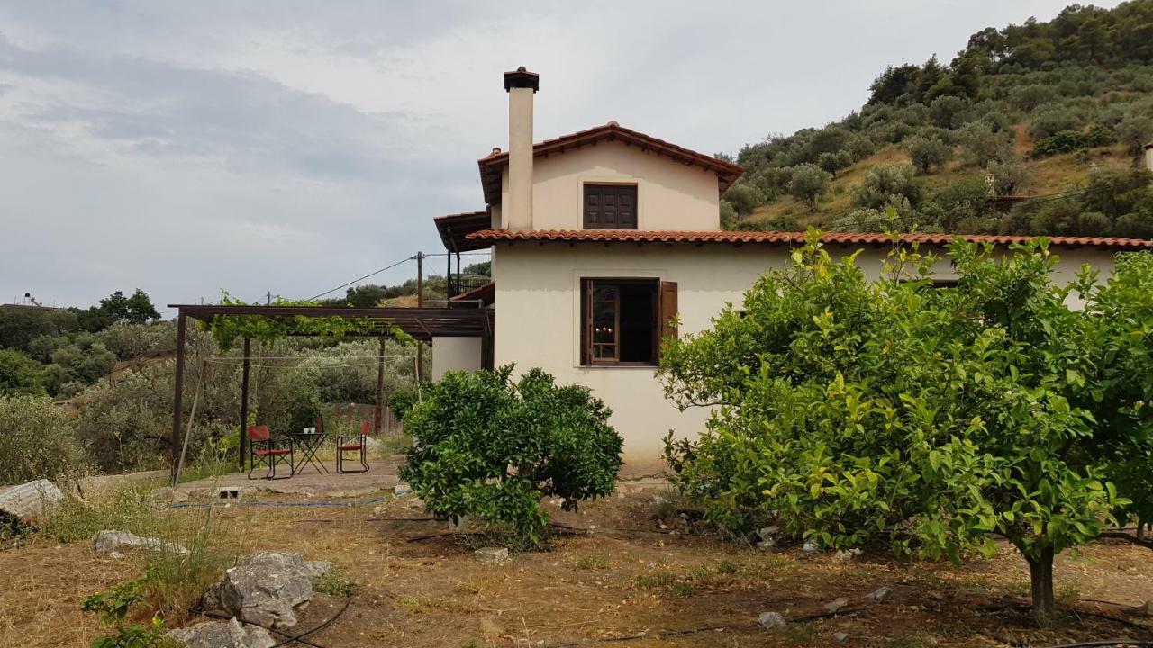 Ample Modern Country Home نيا إيبيدافروس المظهر الخارجي الصورة