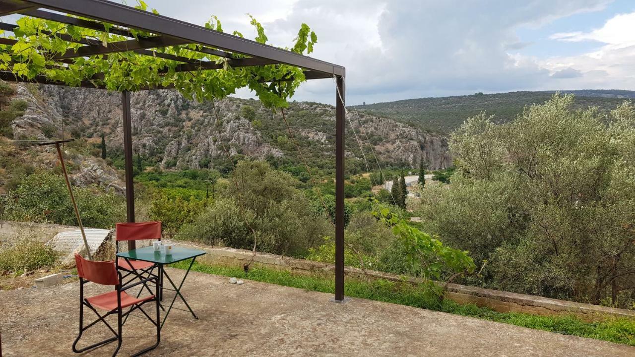 Ample Modern Country Home نيا إيبيدافروس المظهر الخارجي الصورة