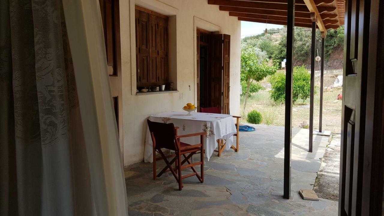 Ample Modern Country Home نيا إيبيدافروس المظهر الخارجي الصورة
