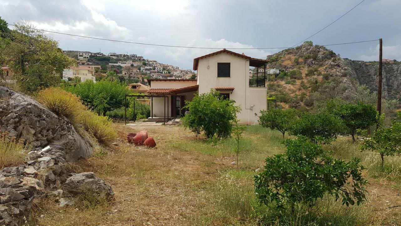 Ample Modern Country Home نيا إيبيدافروس المظهر الخارجي الصورة