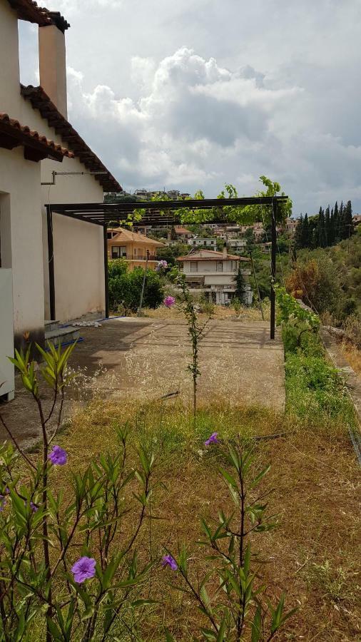 Ample Modern Country Home نيا إيبيدافروس المظهر الخارجي الصورة