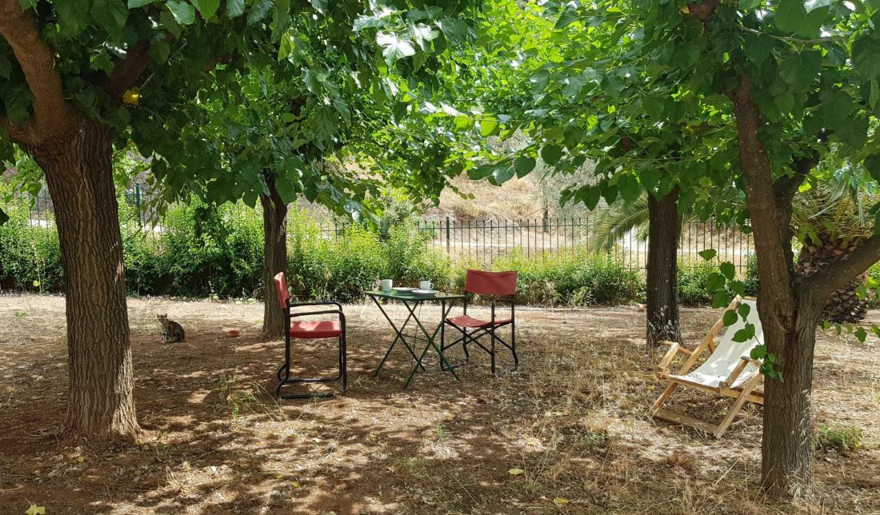 Ample Modern Country Home نيا إيبيدافروس المظهر الخارجي الصورة