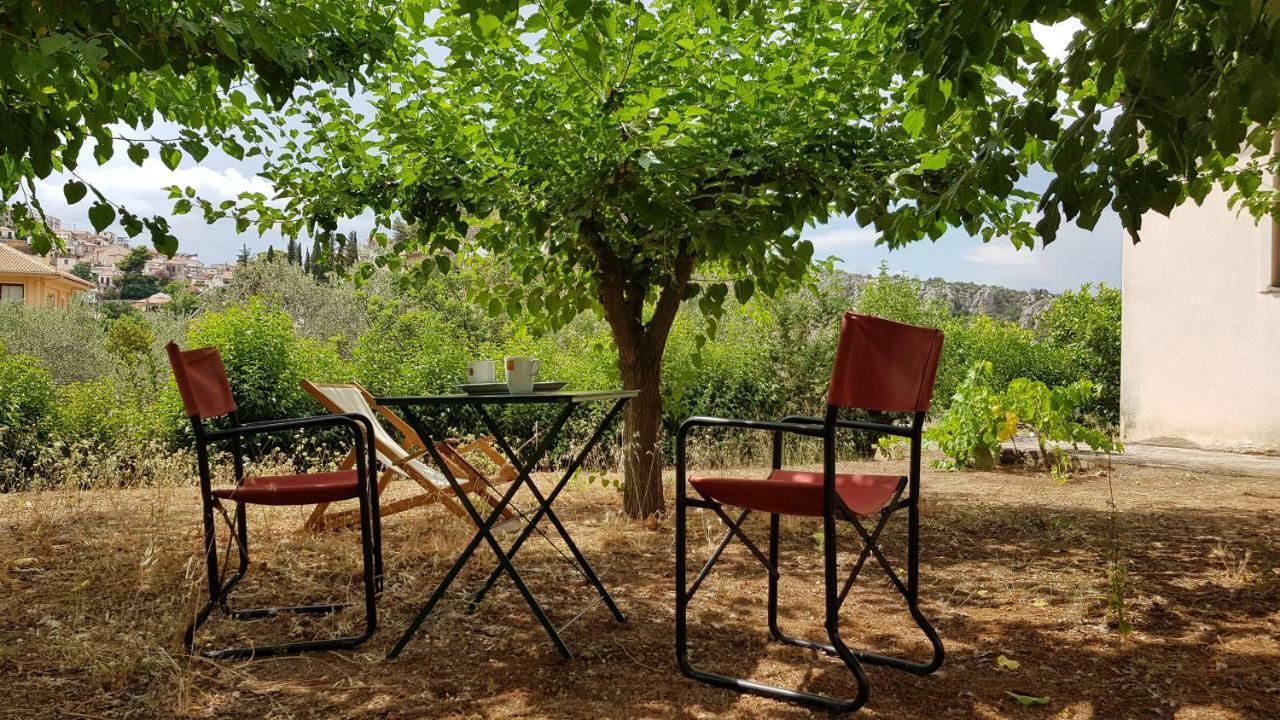 Ample Modern Country Home نيا إيبيدافروس المظهر الخارجي الصورة