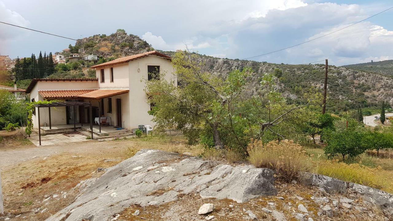 Ample Modern Country Home نيا إيبيدافروس المظهر الخارجي الصورة
